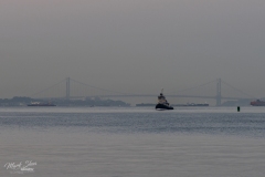 DSC00456