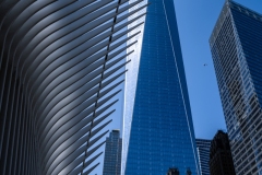 DSC01318
